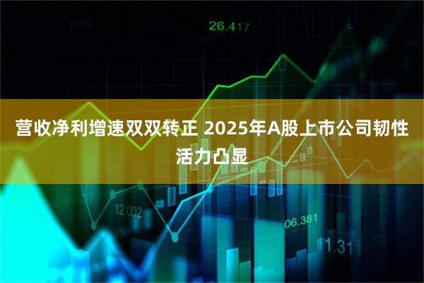 营收净利增速双双转正 2025年A股上市公司韧性活力凸显