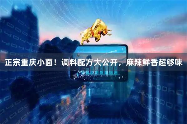 正宗重庆小面！调料配方大公开，麻辣鲜香超够味