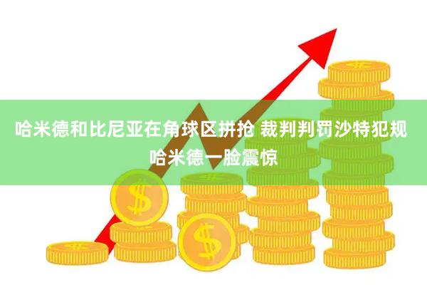 哈米德和比尼亚在角球区拼抢 裁判判罚沙特犯规 哈米德一脸震惊