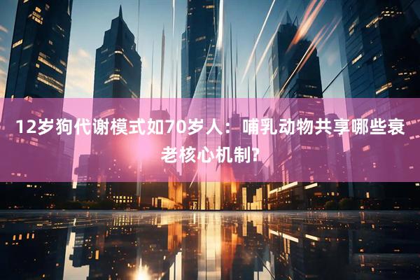 12岁狗代谢模式如70岁人：哺乳动物共享哪些衰老核心机制?