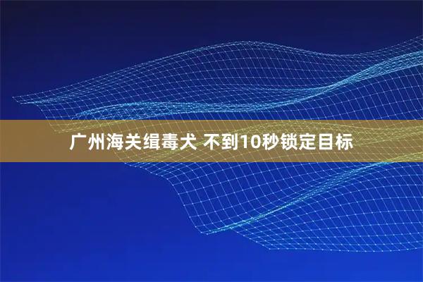 广州海关缉毒犬 不到10秒锁定目标